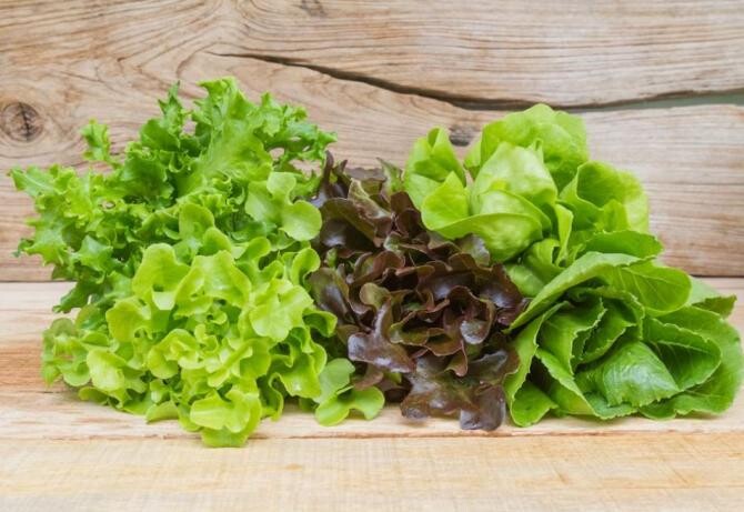 Cum să crești salată verde pe pervaz: sfaturi simple pentru grădinarii începători